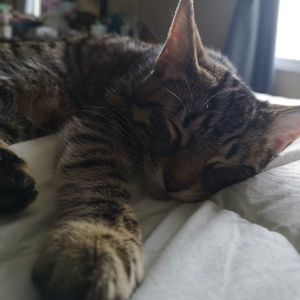 Meet your Posher, Danielle